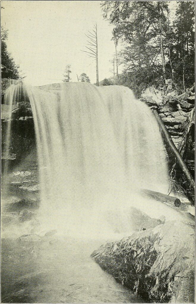 A waterfall plate from a 1910 forestry report: water falling over a rock ledge in a forest